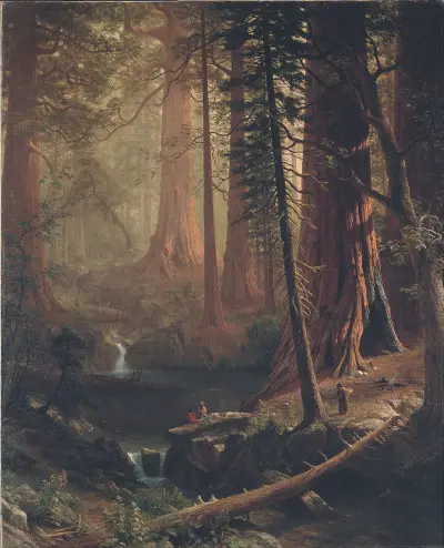 Giant Redwood Trees of California Albert Bierstadt